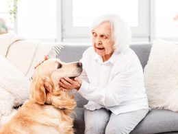 pies dla starszej osoby