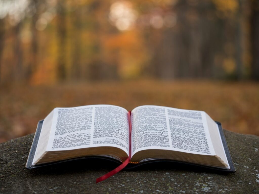 Biblia Tysiąclecia — którą wersję wybrać do modlitwy, nauki i na prezent