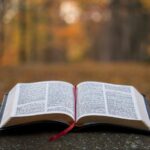 Biblia Tysiąclecia — którą wersję wybrać do modlitwy, nauki i na prezent?